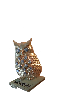 IMG-20141013-WA0001.png